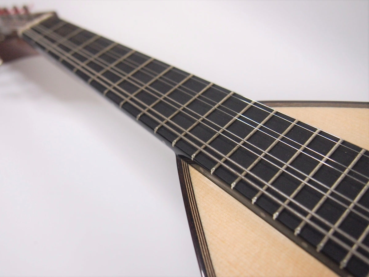 フレットすり減っていませんか？ーマンドリン・ギターの大切な