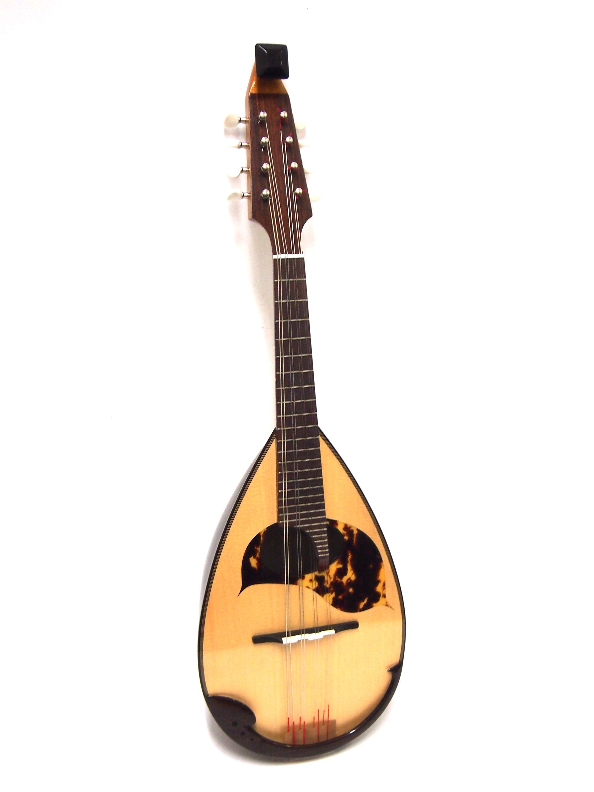 Mandolin | Mandolin and guitar specialty store Ikegaku – Page 3