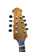 Calace Mandolin Classico B Special