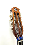 Calace Mandoloncello No.26