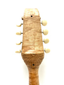 川田マンドリンM-60