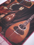 Mandolin Calendar 2025