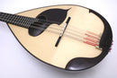 Ochiai Mandora DS-1 Rosewood body
