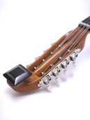 Ochiai Mandora DS-1 Rosewood body