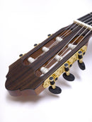Aranjuez bass guitar B-15
