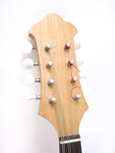 Kano Wood Spirit Mandolin No.60