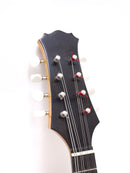 【리유스】Eastman 만돌린 model: Milano 2011년