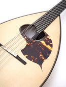 Ochiai Mandora DS-S