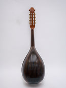 落合マンドリンS-5J All Shellac