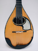 落合マンドリンS-5J All Shellac