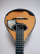 落合マンドリンS-5J All Shellac