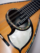 落合マンドリンS-5J All Shellac