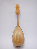 【リユース】カラーチェマンドリン クラシコA 1993年