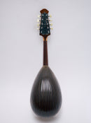 【リユース】カラーチェマンドリンNo.16bis 1977年