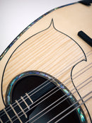 Ochiai Mandora DS-S Emberger body