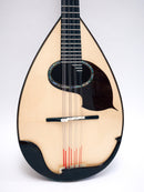 오치아이 만드라 DS-2R