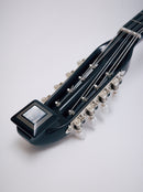 오치아이 만드라 DS-2R