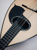 오치아이 만드라 DS-2R