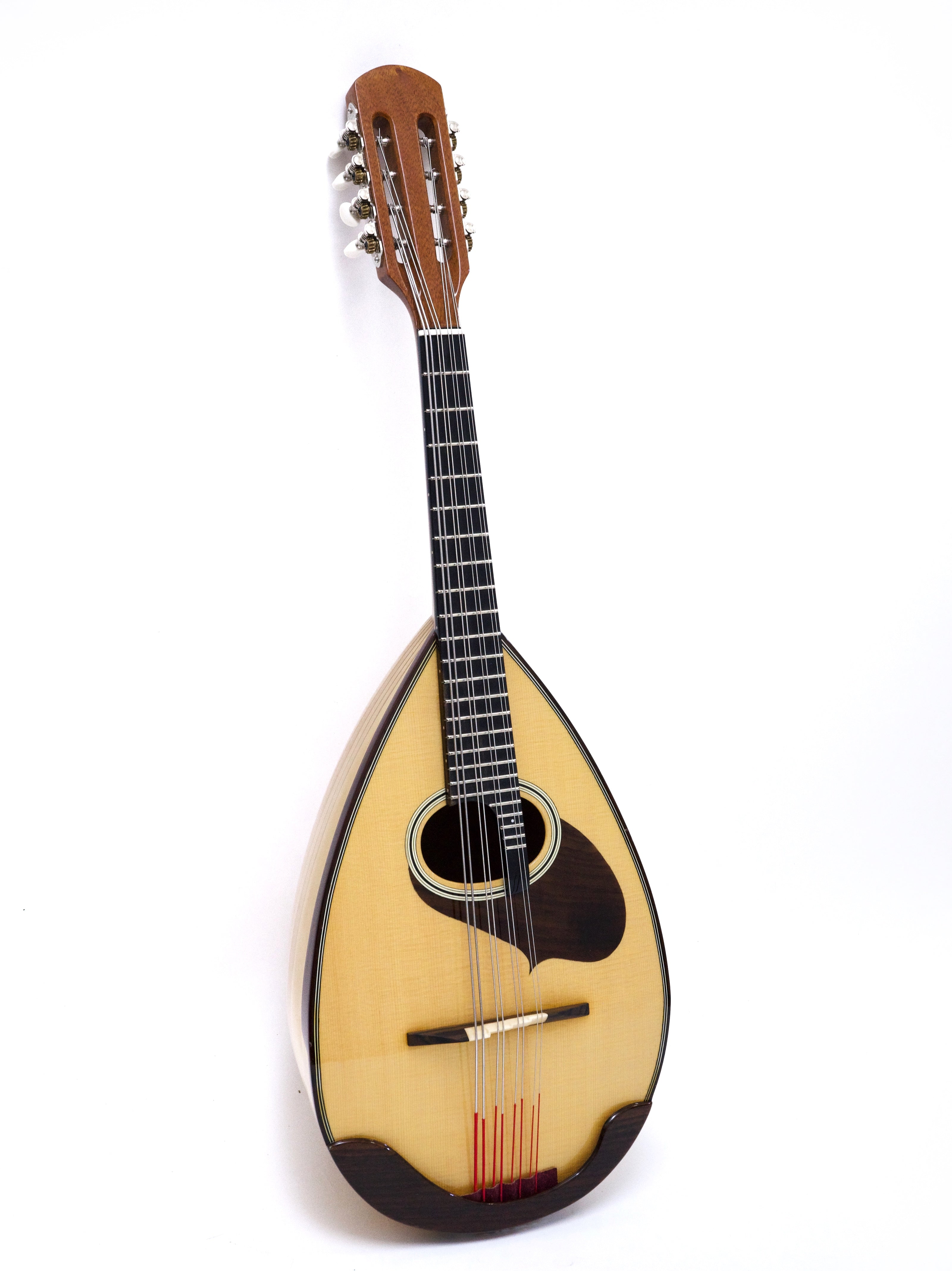 Musical instruments | Mandolin and guitar specialty store Ikegaku