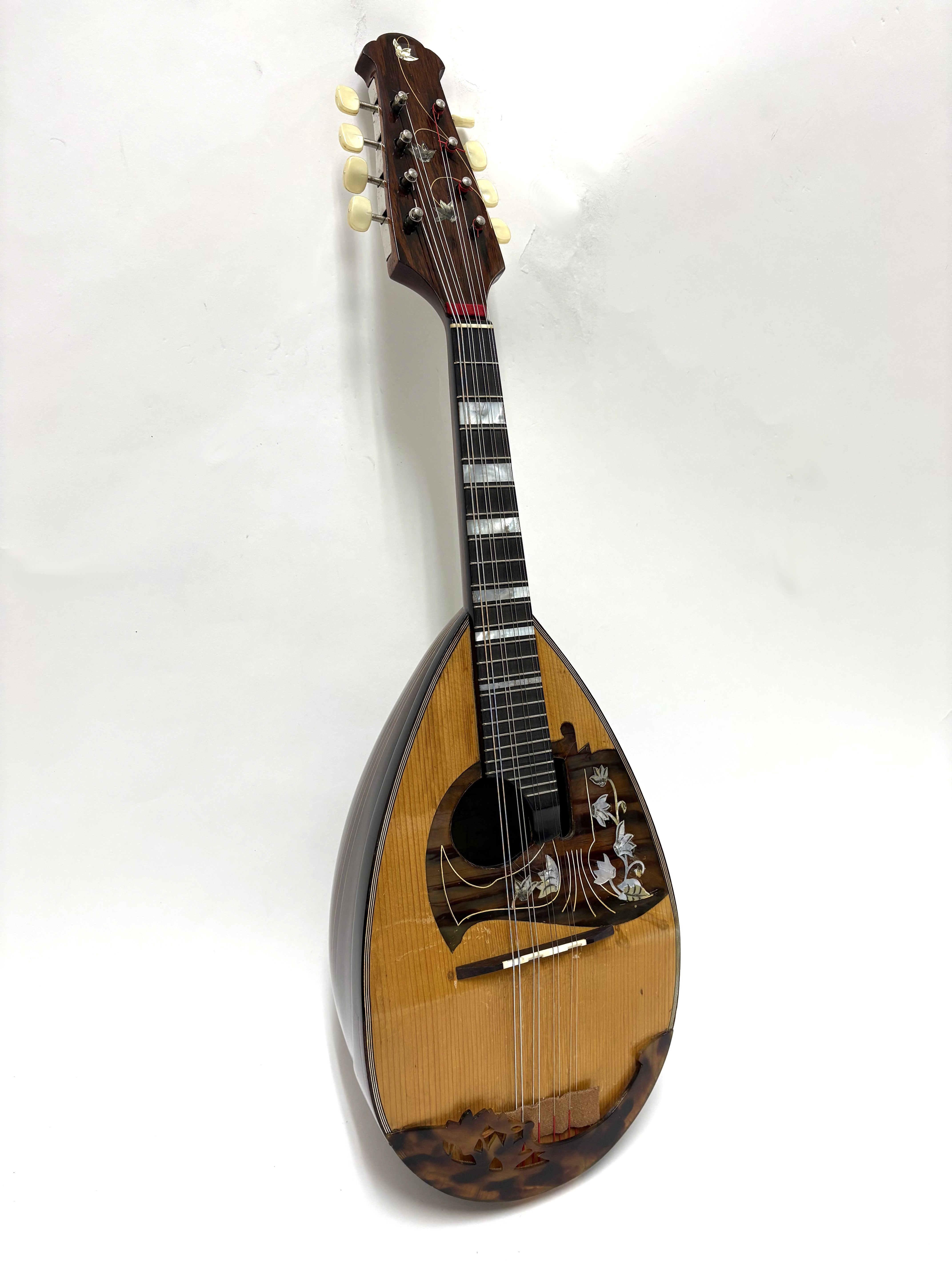 リユースマンドリン | マンドリンとギターの専門店 イケガク