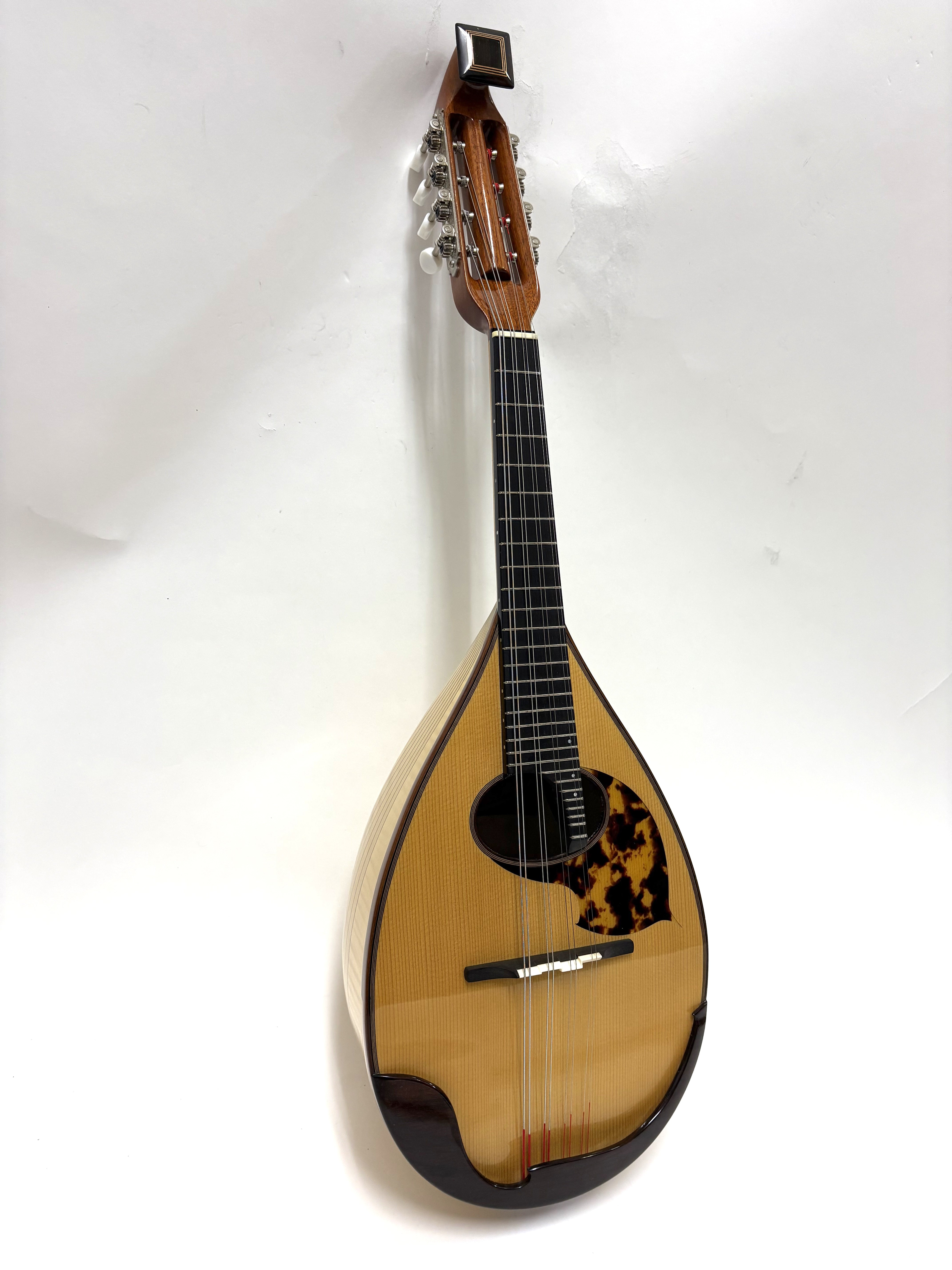 リユースマンドリン | マンドリンとギターの専門店 イケガク