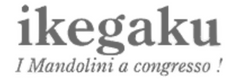 Mandolin & Guitar Shop ikegaku