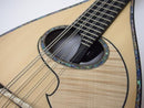 Ochiai Mandora DS-S Emberger body