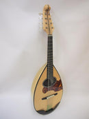 Ishikawa Mandola No.500