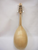 Ishikawa Mandola No.500