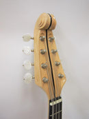 Ishikawa Mandola No.500