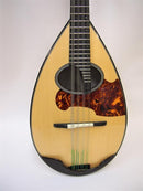 Ishikawa Mandola No.500