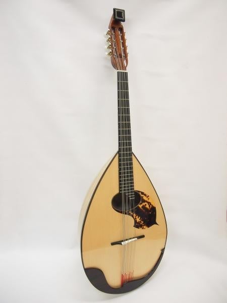 低価格の 松島フラットマンドロンチェロMSC-1 弦楽器 - tsr.zxsonic.com