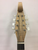 川田マンドロンチェロC-40