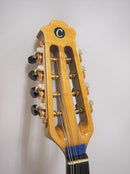 컬러 체만돌린 클라시코 D스기