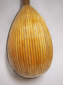 컬러 체만돌린 클라시코 D스기