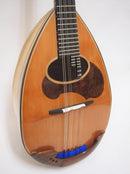 컬러 체만돌린 클라시코 D스기