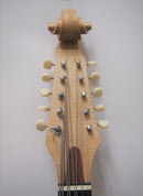 川田マンドリュートML-100