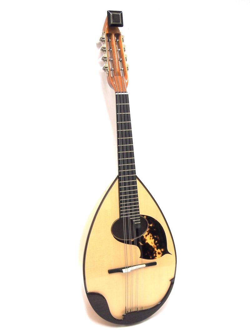 Raffaele 寺田楽器製 ハイエンド マンドリン RM-3 弦　ギター 中古・オールドマンドリン | 絃楽器のイグチ
