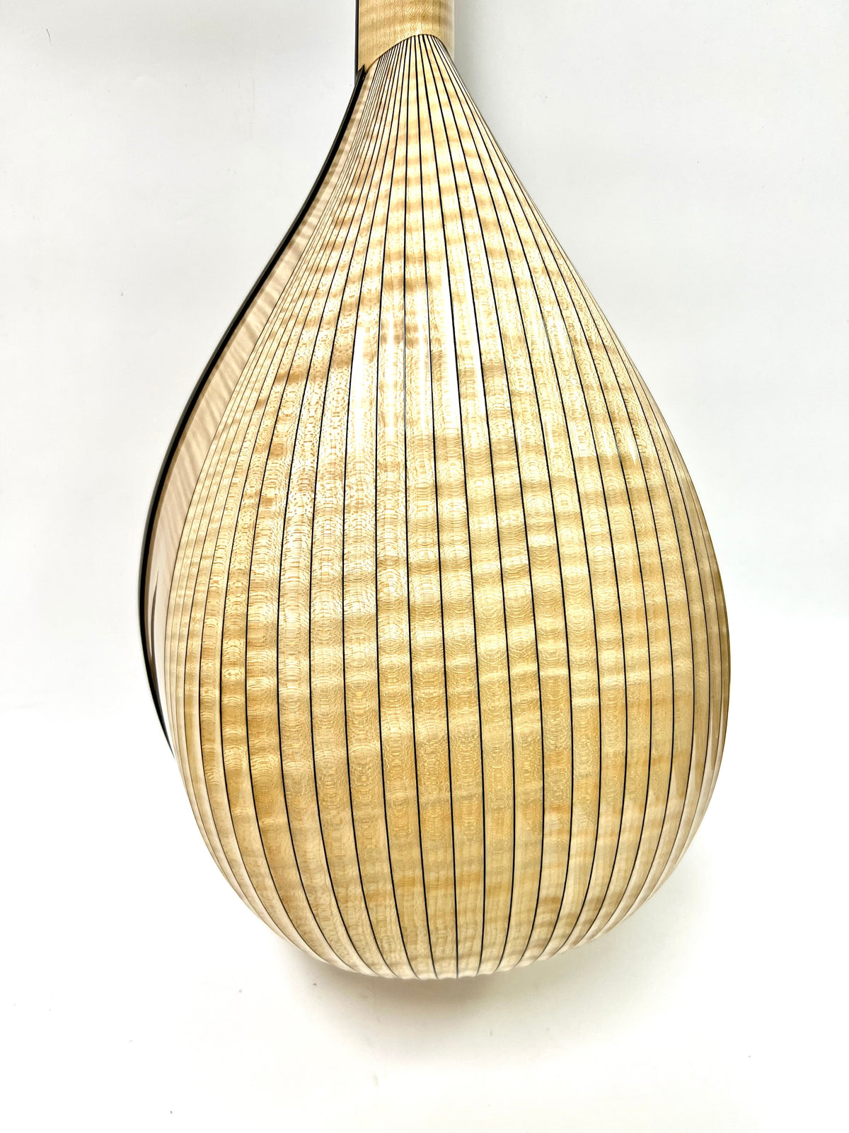 2023-08-20170207_1200x.jpg?v=