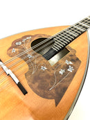 Calace Mandola No.13 Cedar