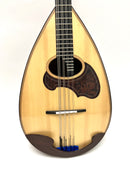 Calace Mandoloncello No.26