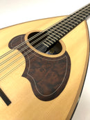 Calace Mandoloncello No.26