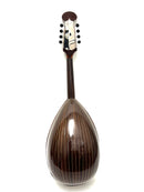 Calace Mandola No.26