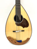 カラーチェマンドラNo.24