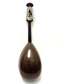 カラーチェマンドラNo.24