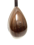 カラーチェマンドラNo.24