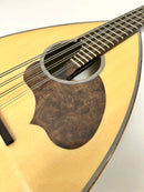 カラーチェマンドラNo.24