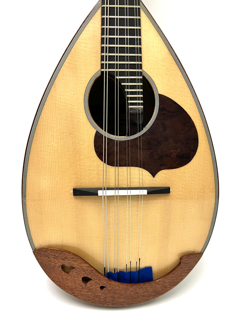 Calace Mandolin No.24