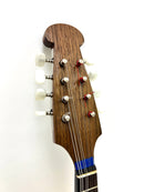 Calace Mandolin No.26 Maple