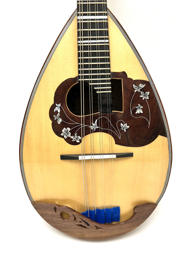 Calace Mandolin No.13